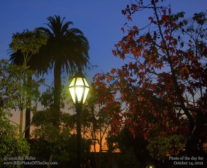 Alice Keck Park Evening Lamp Post